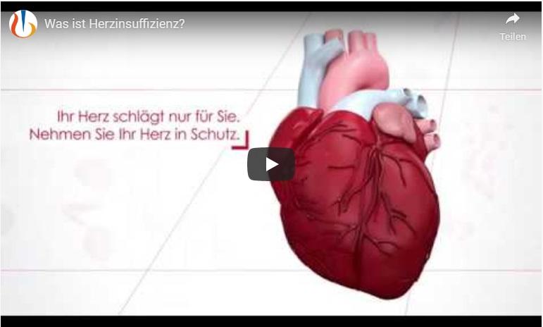 Screenshot Video
