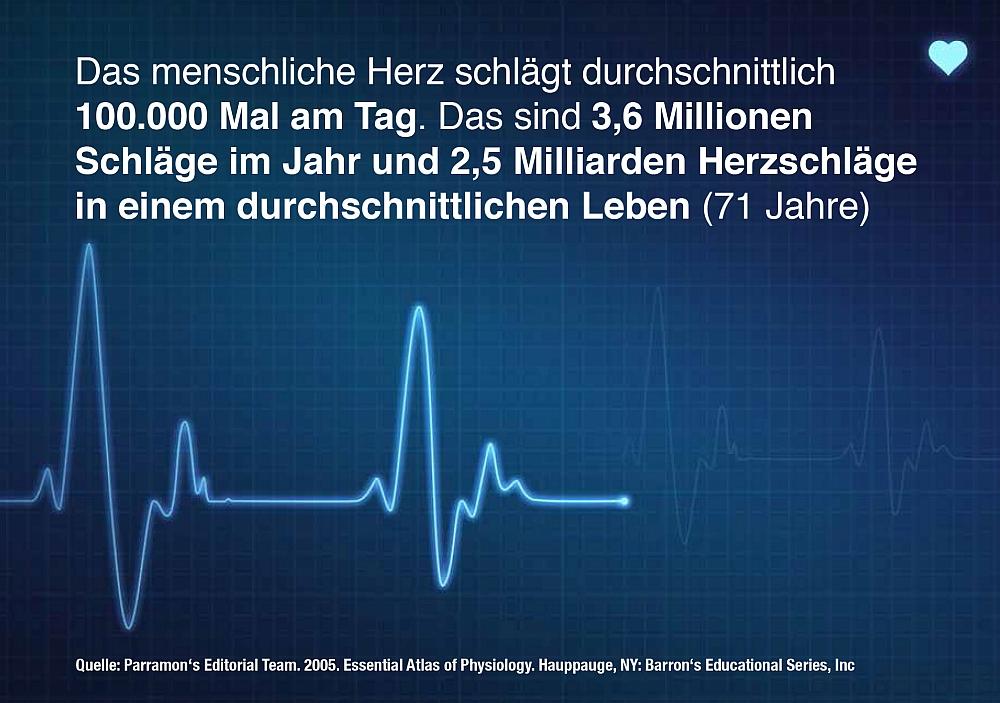 8 Fakten über Ihr Herz