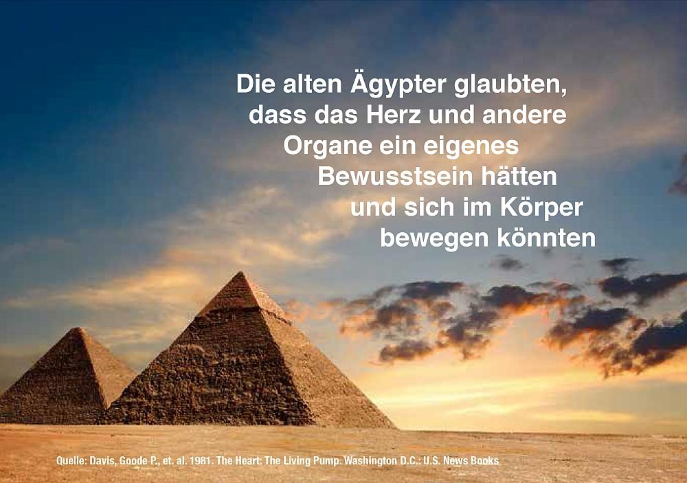 8 Fakten über Ihr Herz