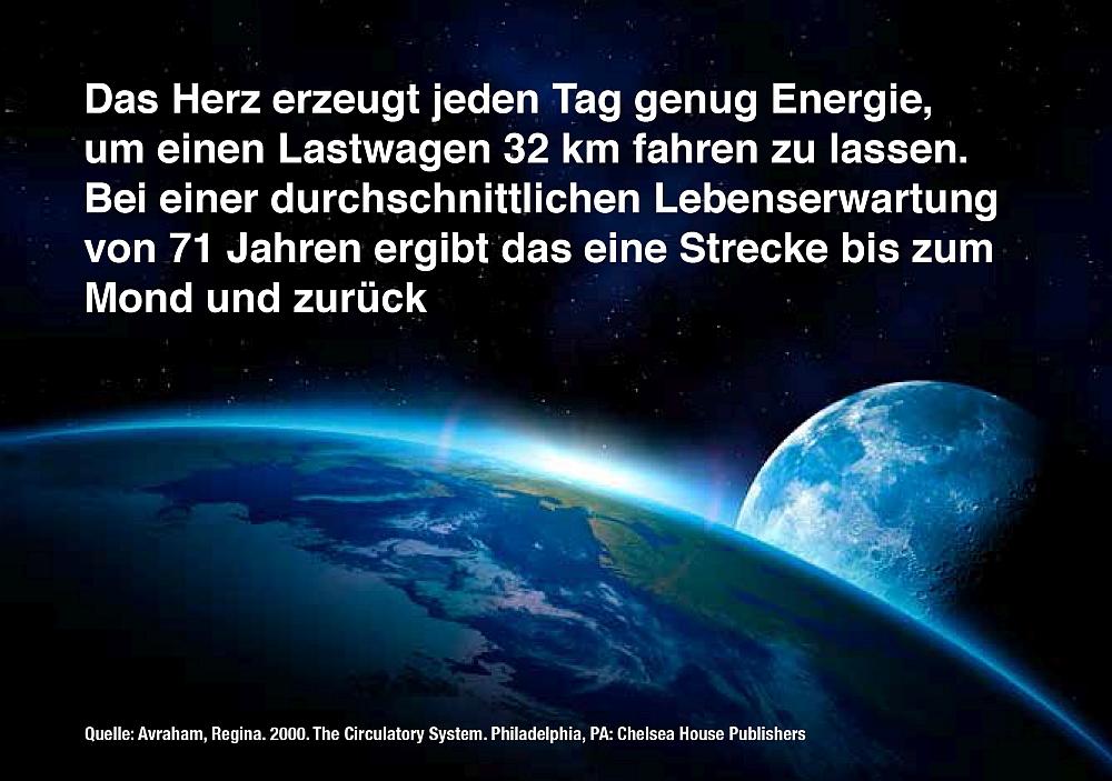 8 Fakten über Ihr Herz