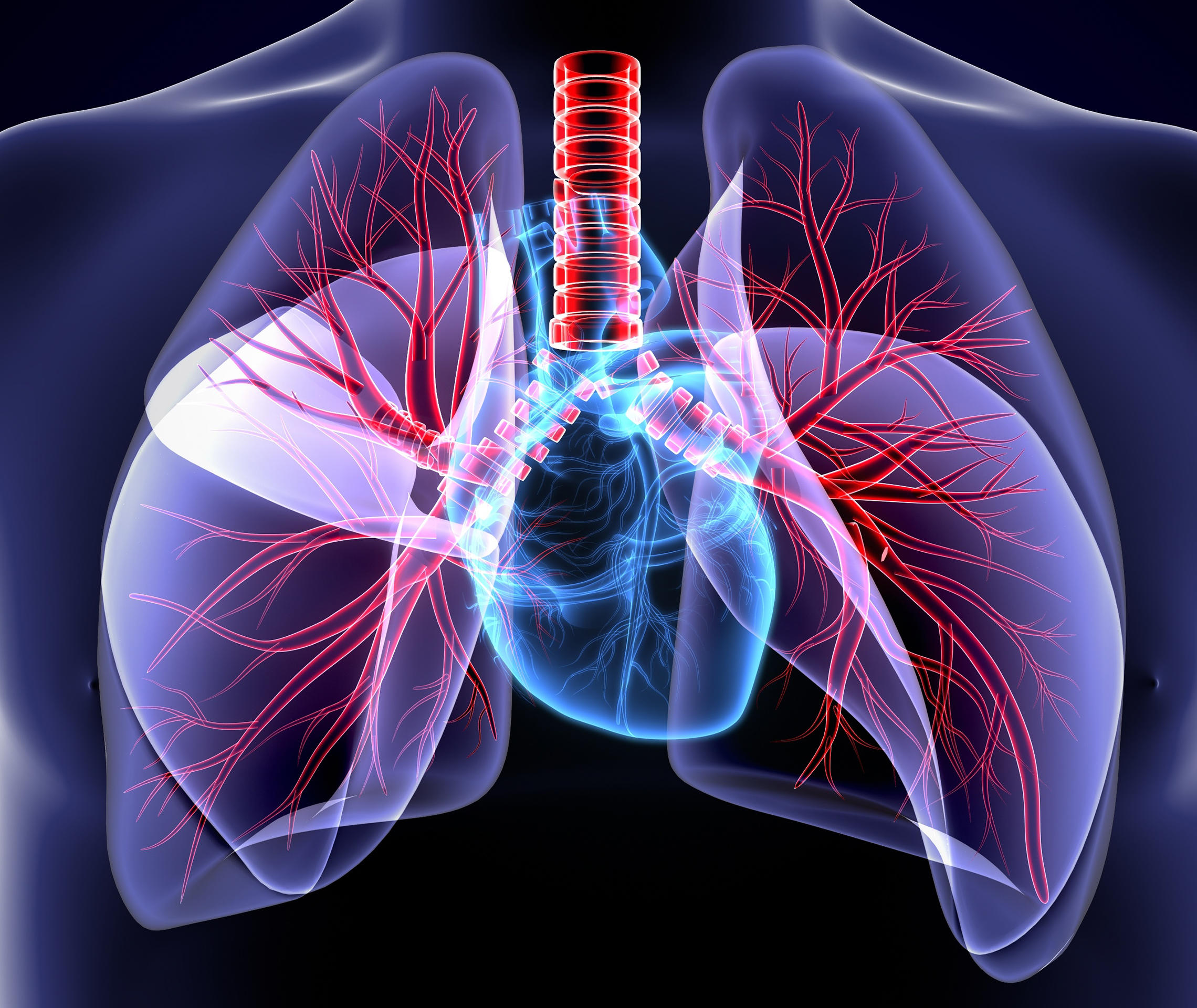 cor pulmonale alles ber das lungenherz ratgeber cor pulmonale alles ber das lungenherz ratgeber