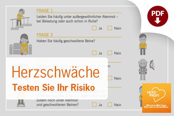 Risikotest