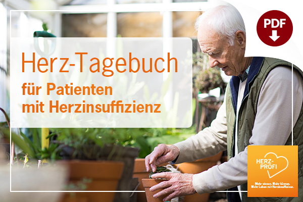 Herz Tagebuch