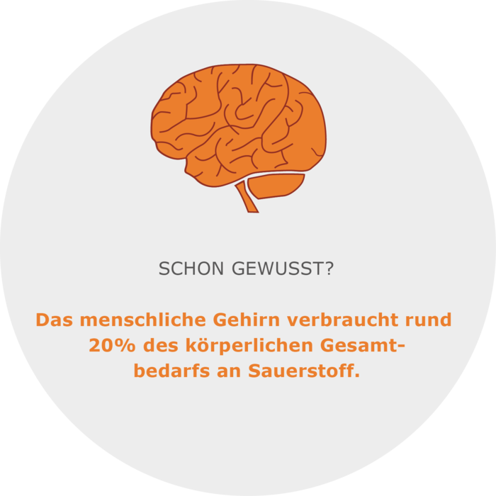 Das Gehirn verbraucht 20 Prozent des Gesamtbedarfs an Sauerstoff. Illustration mit Text. Das menschliche Hirn verbraucht rund 20 Prozent des körperlichen Gesamtbedarfs an Sauerstoff.