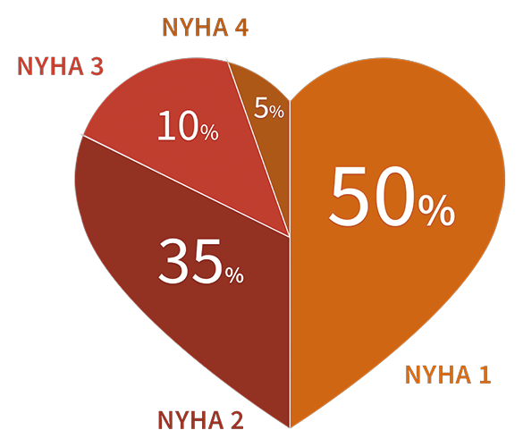 Die Hälfte der Betroffenen befindet sich im NYHA-Stadium 1. Infografik: prozentuale Verteilung der Patienten mit Herzinsuffizienz
