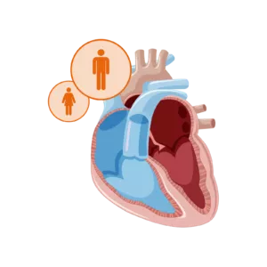 Grafische Darstellung der systolischen Herzinsuffizienz
