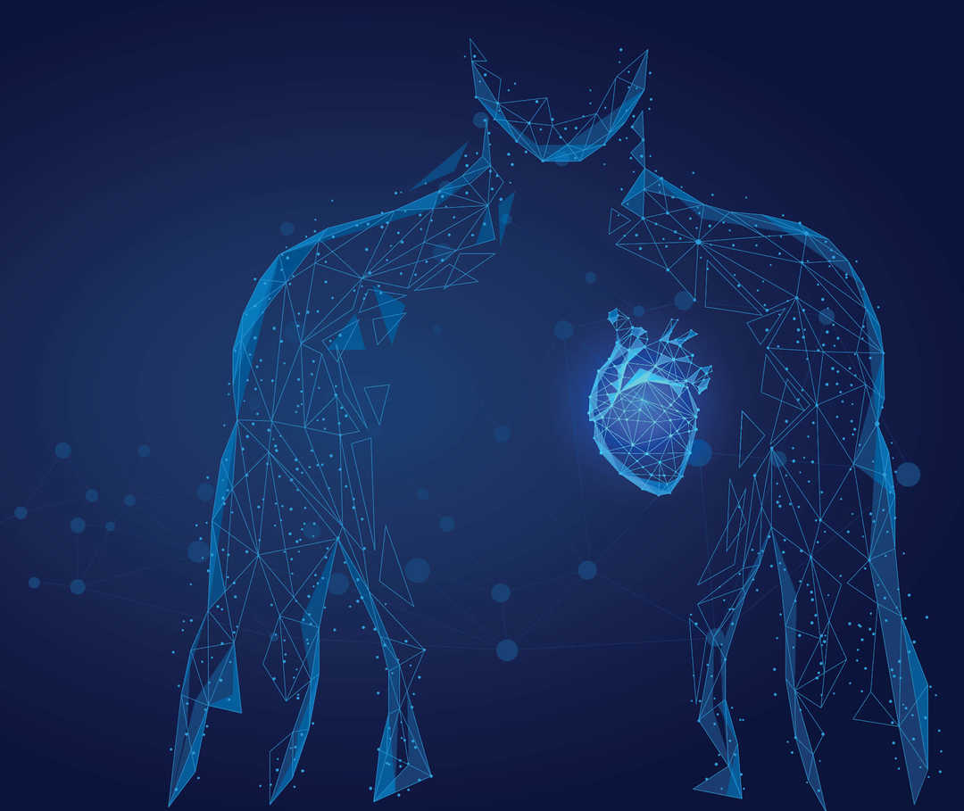 Dekompensierte oder kompensierte Herzinsuffizienz? Die genaue Untersuchung des Herzens kann das verraten.