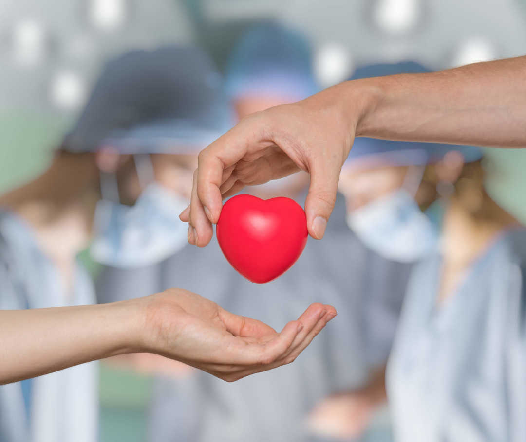 Rotes Herz von Händen gehalten – im Hintergrund Ärzte, die eine Herz-OP durchführen.