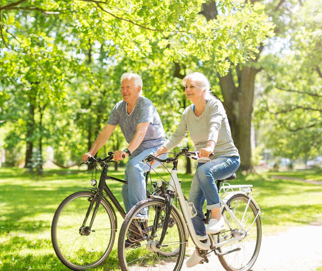 Ein älterer Mann und eine ältere Frau fahren auf Fahrrädern durch einen Park.